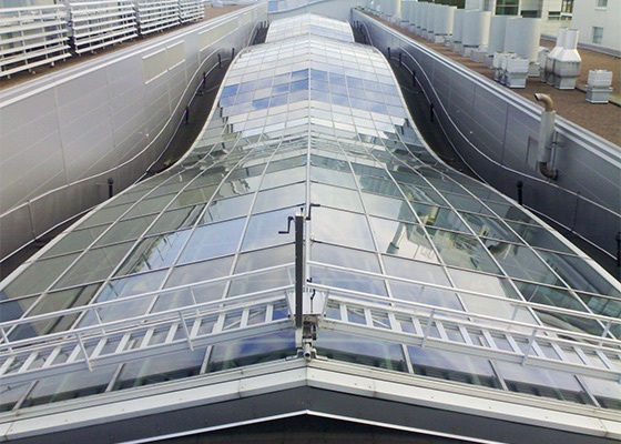 What are the different types of maintenance ladders?